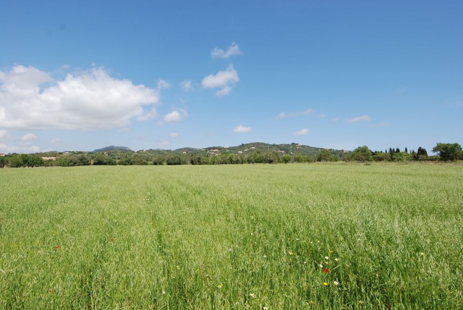 - Grundstück mit herrlichem Blick auf das Meer zwischen Santanyi und S`Alqueria Blanca