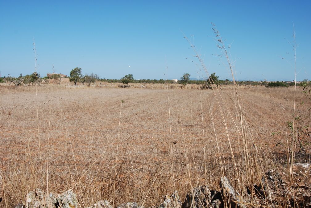 - Pozemek 17 466 m2 s projektem 336,47 m2 poblíž Santanyi