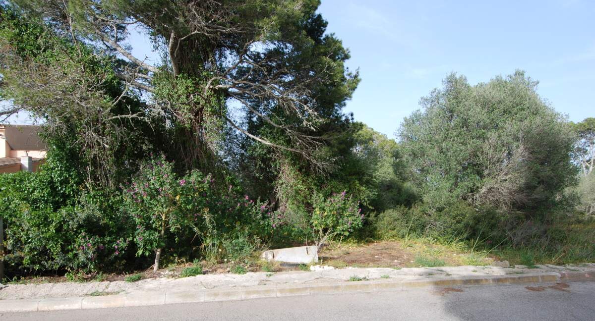 - Sonnige Parzelle wenige Minuten vom Strand von Cala Santanyi entfernt