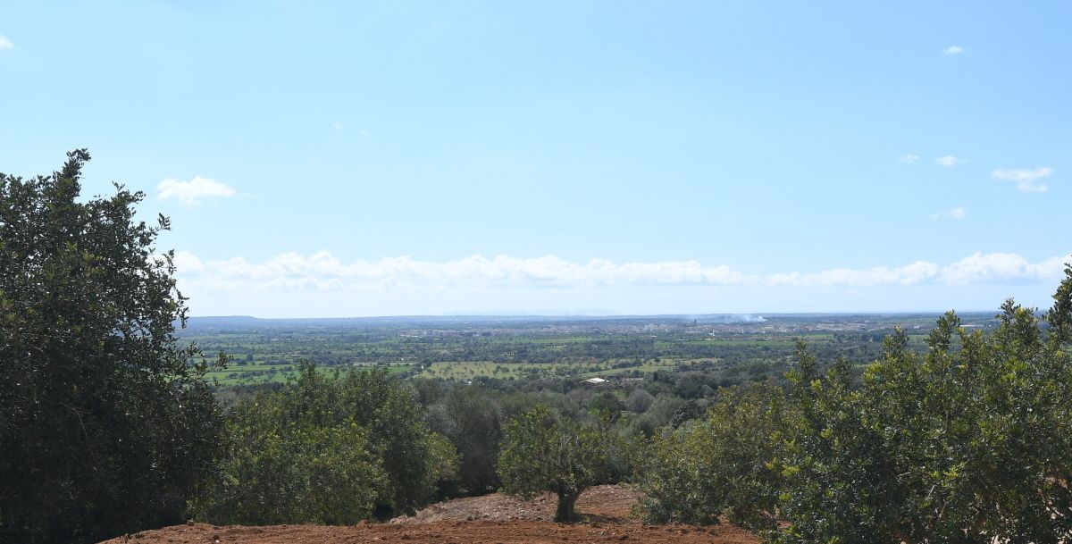  - Herrliches Grundstück in Manacor mit Panoramablick auf die Bucht von Alcudia