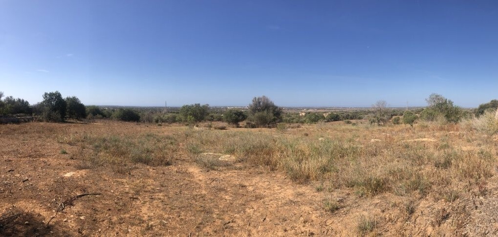  - Terreno rustico entre Santanyí y Cas Concos con bonitas vistas panorámicas hasta el mar