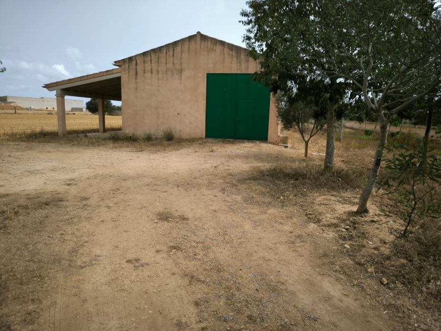  - Landwirtschaftliches Lagerhaus von ca. 100m2 in der Nähe von Campos