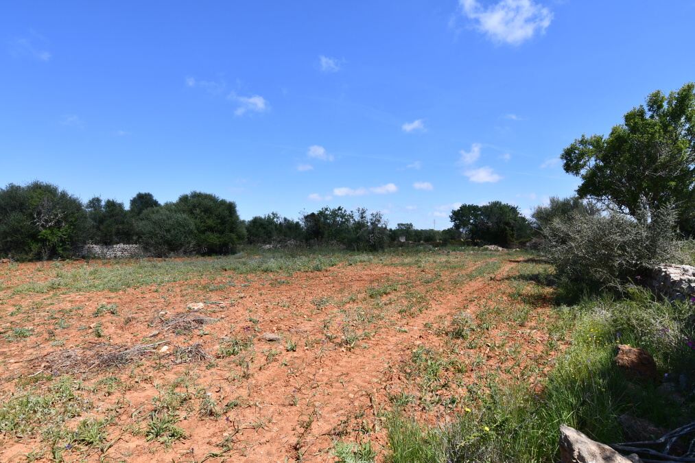  - Terreno rústico con proyecto básico, electricidad y agua a tan solo 900mts de Santanyi