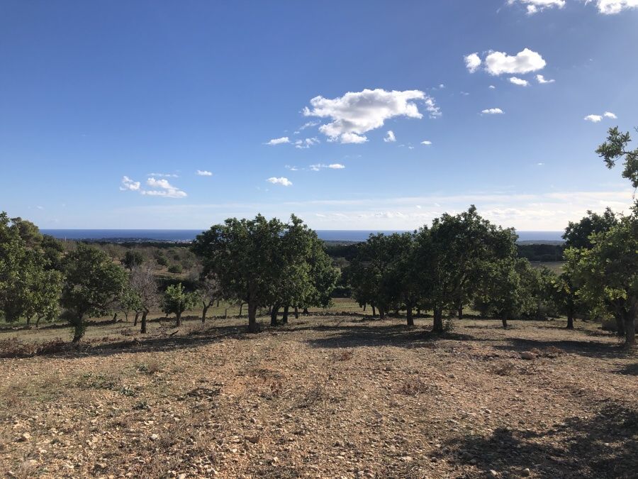  - Terreno con vistas panorámicas al mar, con licencia, suministro eléctrico situado en una parcela elevada cerca de S`Horta