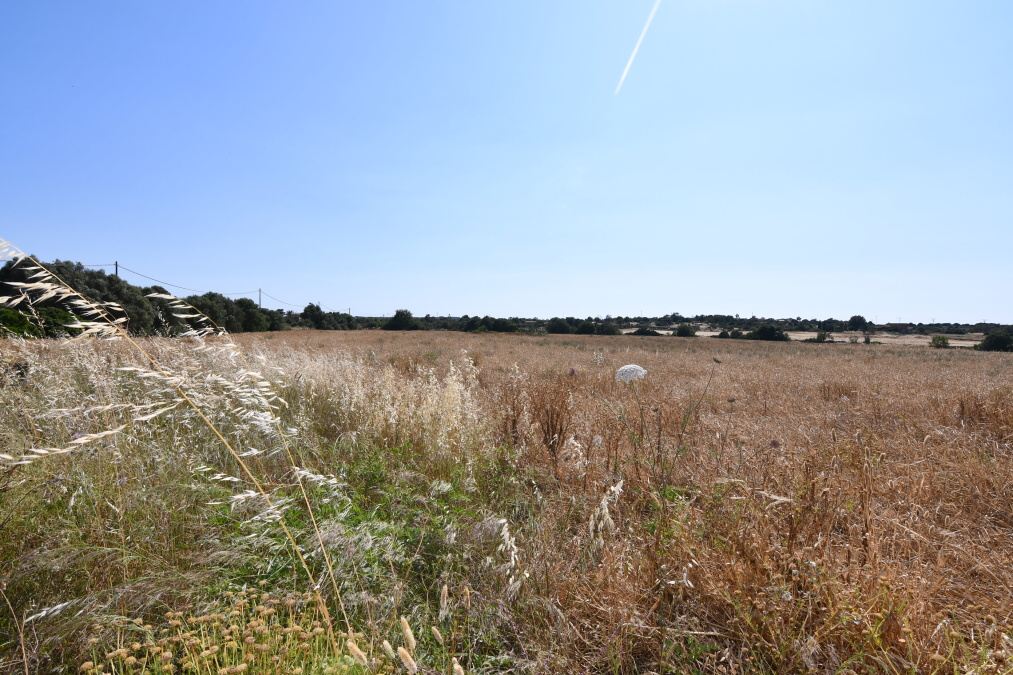  - Pozemek se stávající budovou 240m2 na okraji Ses Salines