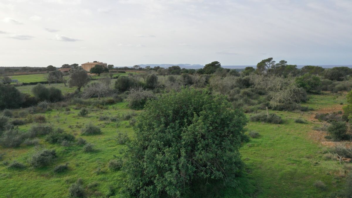  - Soleado terreno al final de un camino en la bonita zona de Es Pinaret, Santanyí